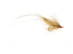 72er - Ginger/Fl. Orange Eyes