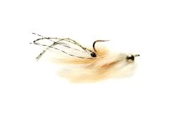 Skittle Mantis Shrimp