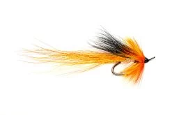 Cascade Shrimp Double