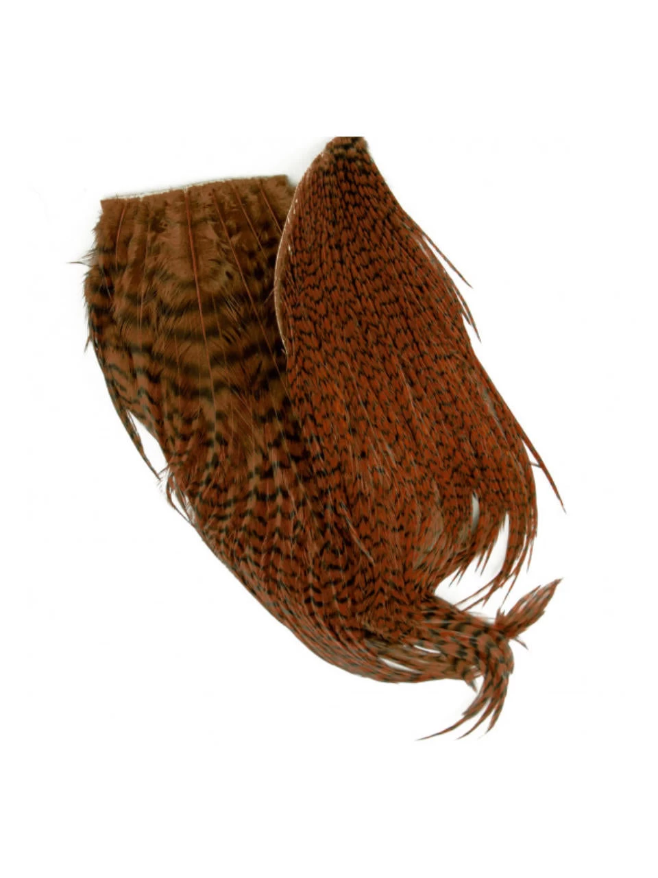 Whiting Bugger Pack – Bild 15