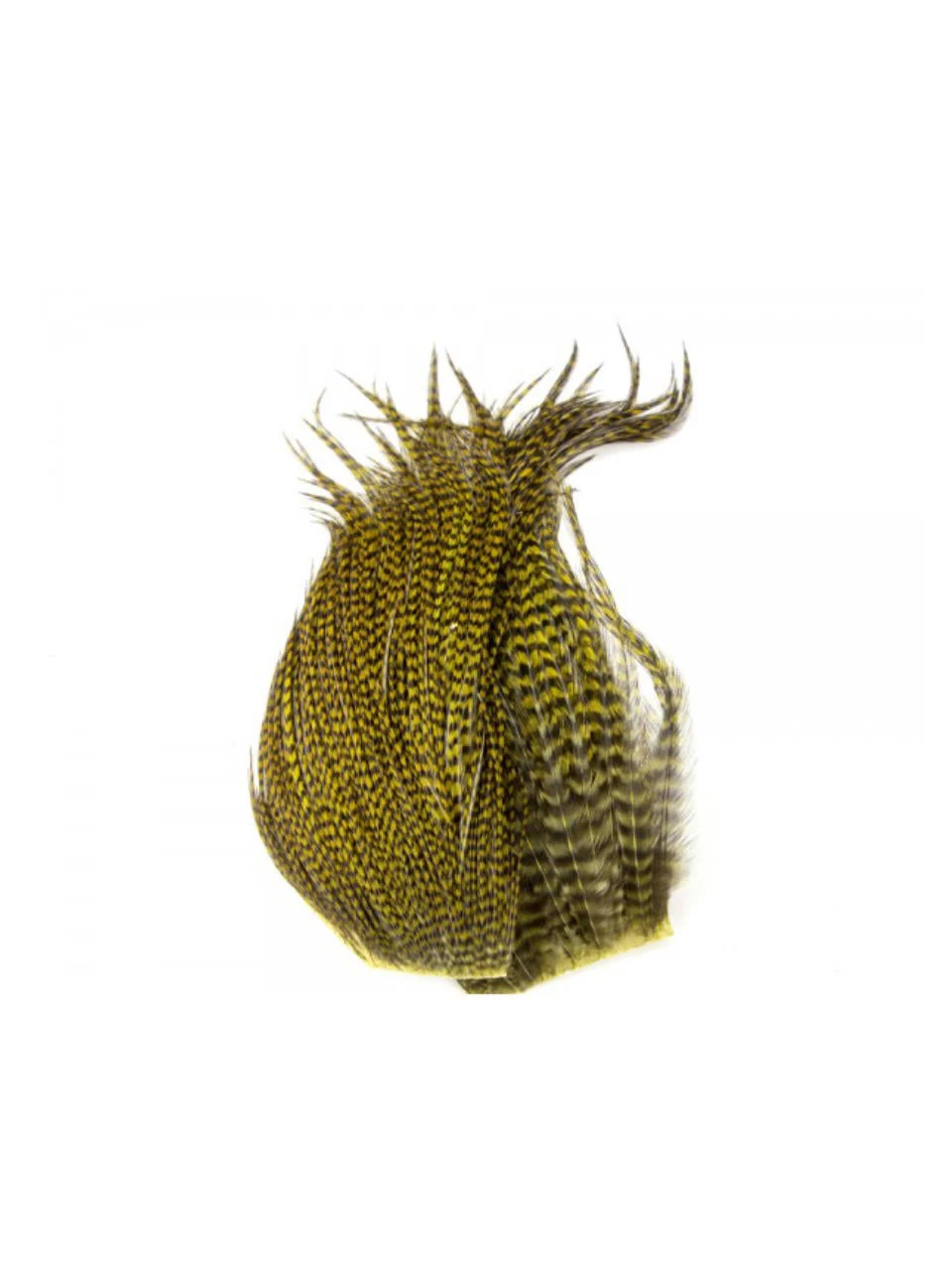 Whiting Bugger Pack – Bild 16