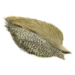 Whiting Coq De Leon Cape