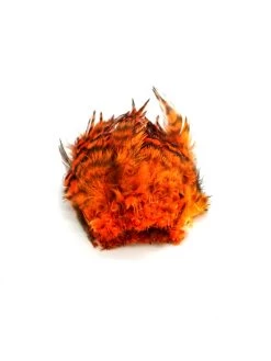 Wapsi Barred Neck Hackle